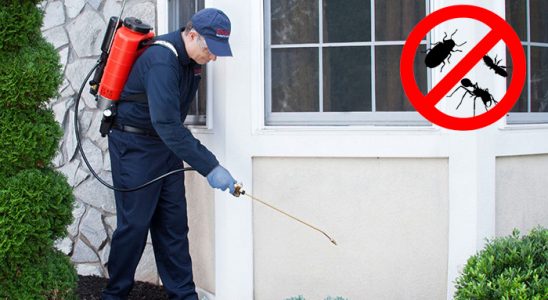 Boğazkale Akrep İlaçlama böcek ilaçlama ve haşere kontrolü — ilaclama-tr.com